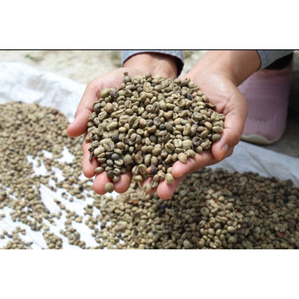 

biji kopi lampung tanpa kulit ari / kopi lampung tanpa kulit ari murah produk kebun sendiri alami tanpa pengawet