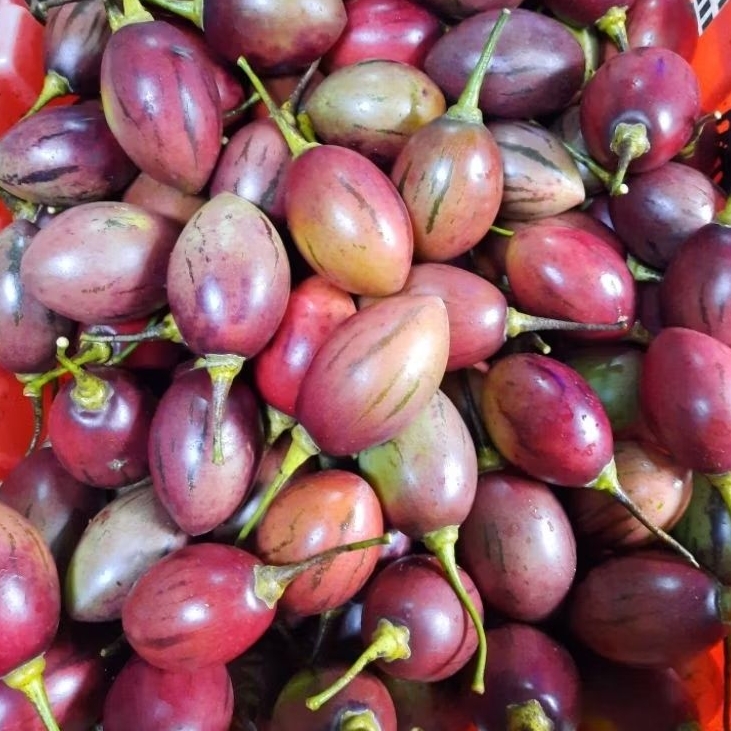 

Terong Belanda Fresh 1kg - tomalilo