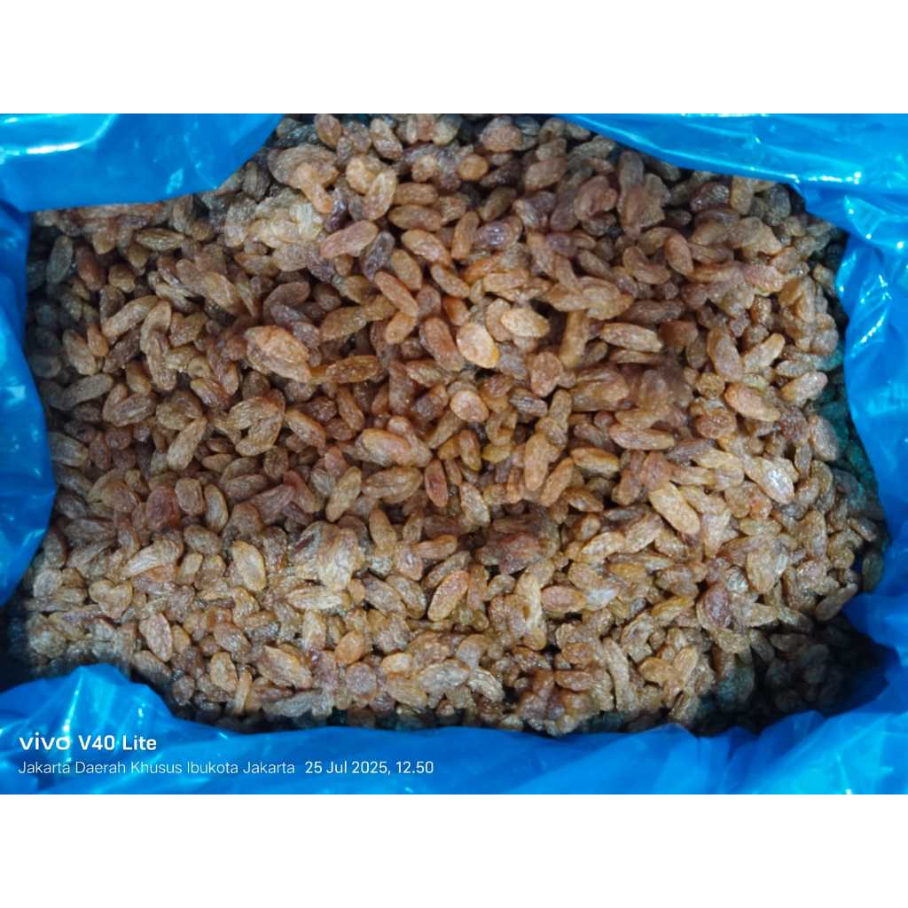 

Kismis Sultana Light Brown ( GREEN WOOD )