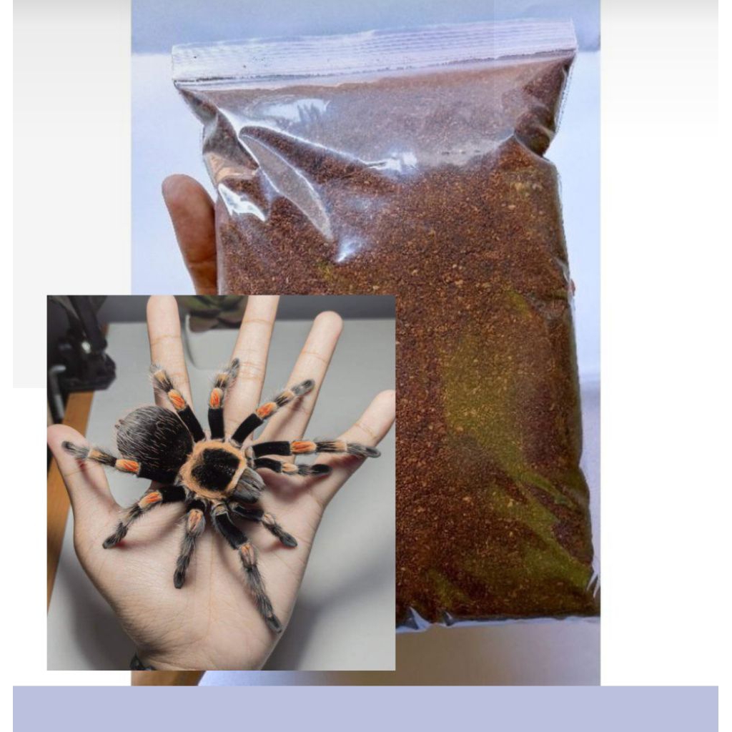 Cocopeat halus tarantula