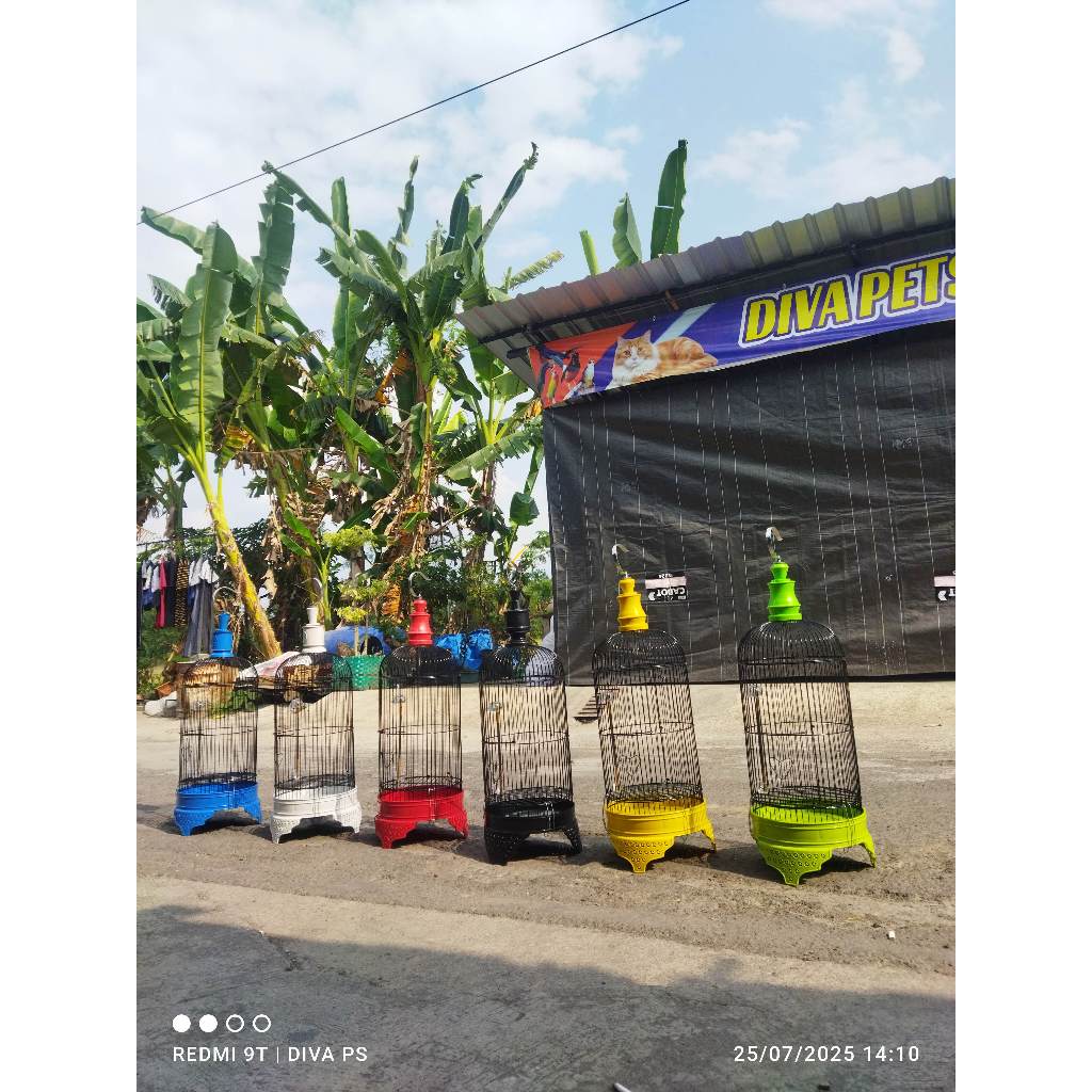 Grosir Sangkar Holopet Pleci Murah Berkualitas Sangkar Ram Besi Holopet Komplit Tebok