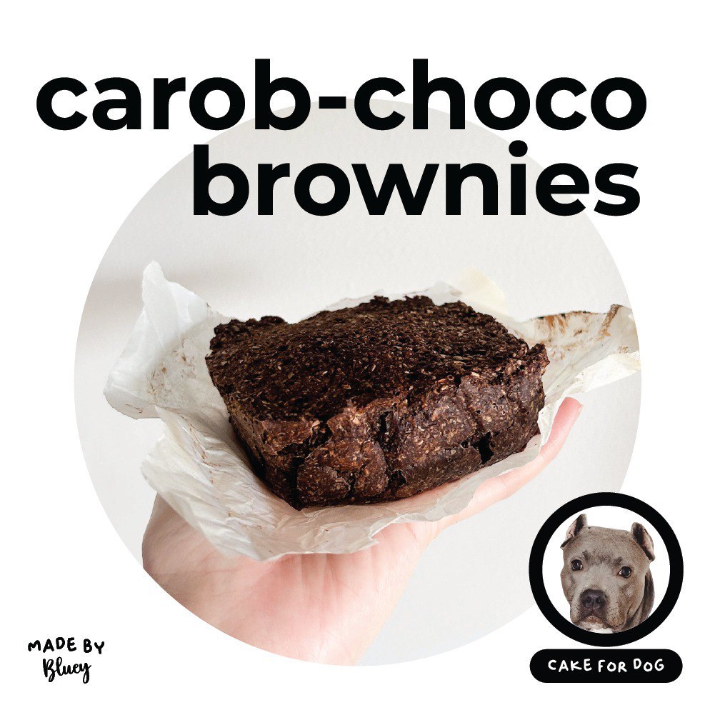 Carob Choco Brownies | Kue Ulang Tahun Anjing Kucing | Birthday Cake For Dog Cat | Homemade Dog Food