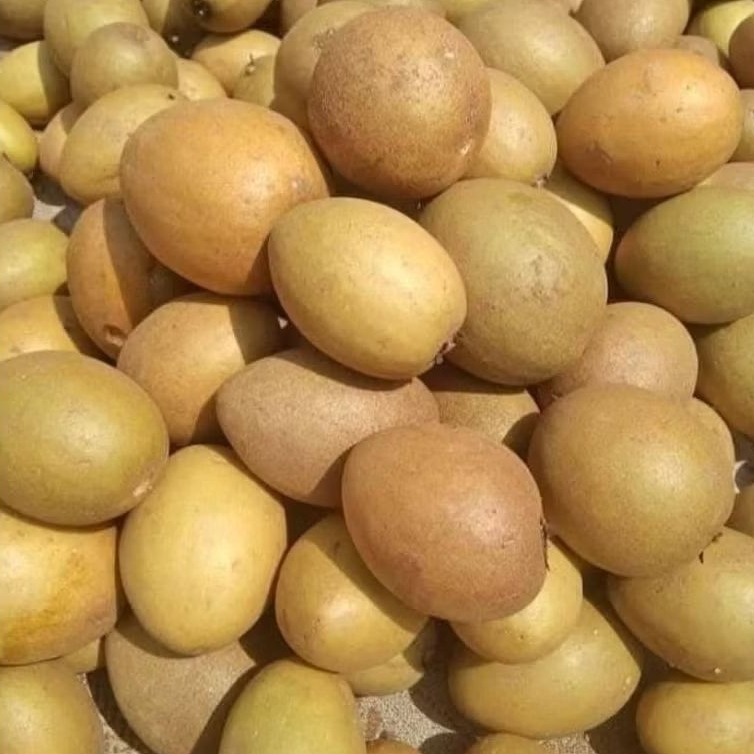 

buah sawo merah pilihan jamin manis 1kg