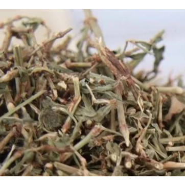 

[300gram] Bian Xu Cao - [ 萹蓄 ] - Herba Polygoni Avicularis