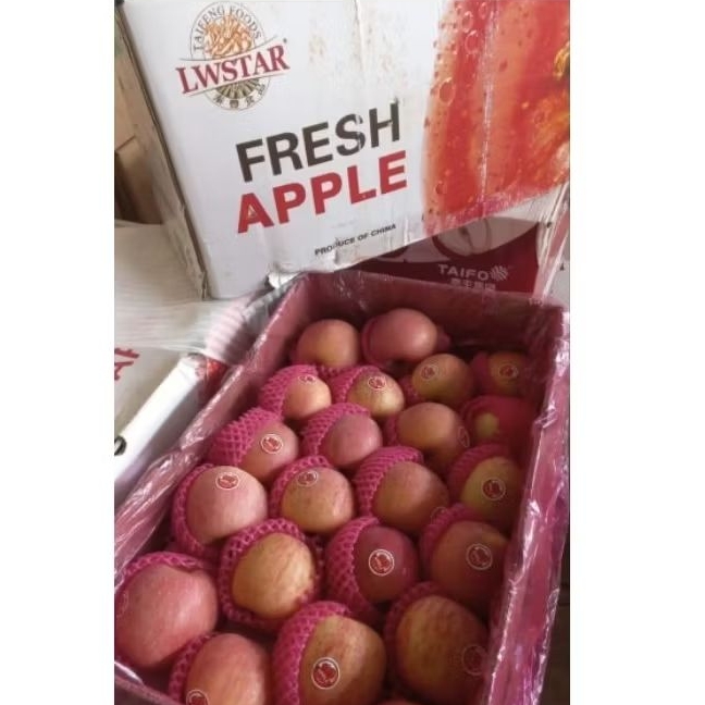 

Apel Fuji LW STAR (size 88) 1 dus 18 kg per box Fresh Jogja
