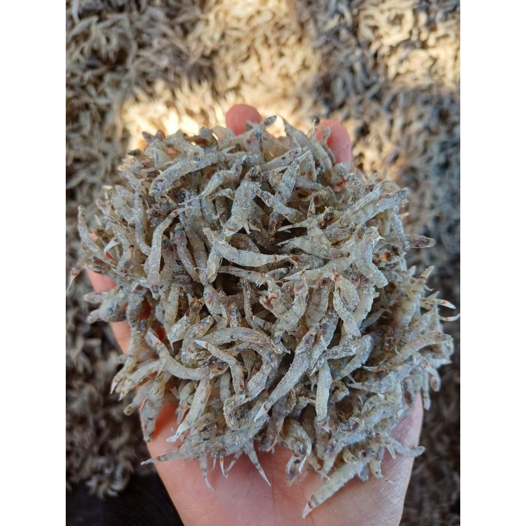 

Ikan Penja Kering / Ikan Seribu Kering / Duo / Duang / Nike Kering