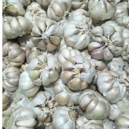 

Bawang putih bulat 250grm