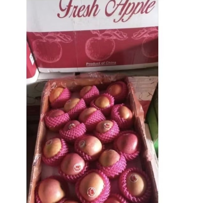

Apel Fuji Fresh Apple (size 100) 1 dus 18 kg per box Fresh Jogja