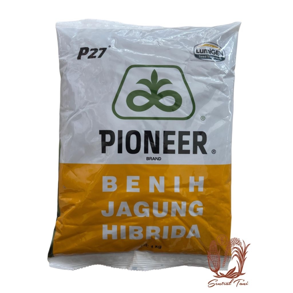 Bibit Jagung PIONEER P27 - 1Kg
