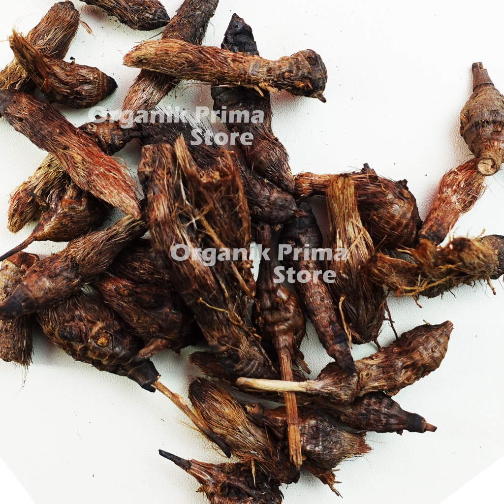 

Umbi Teki Kering 1kg Asli dan Organik