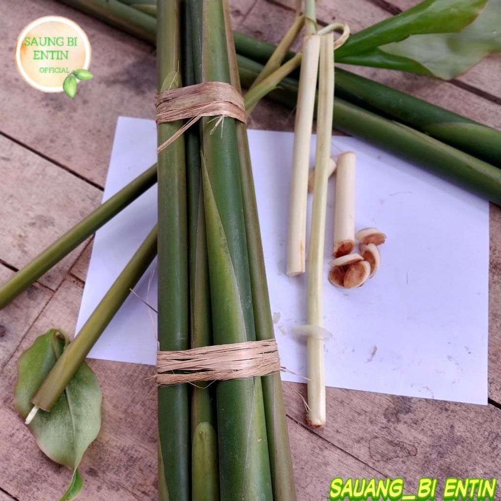 

Batang Kecombrang Muda Segar 1Kg Bahan Sayur Masakan