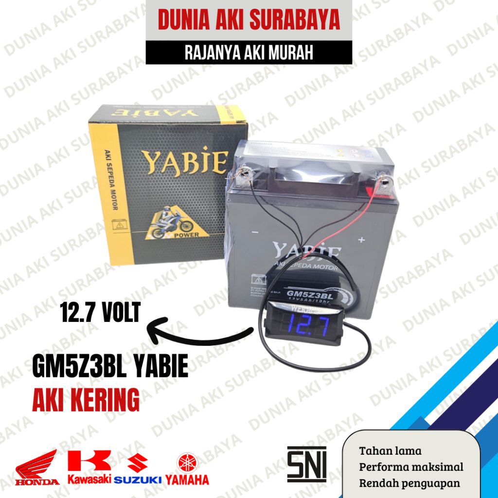 AKI SMASH/SHOGUN/GRAND AKI ACCU KERING GM5Z3BL