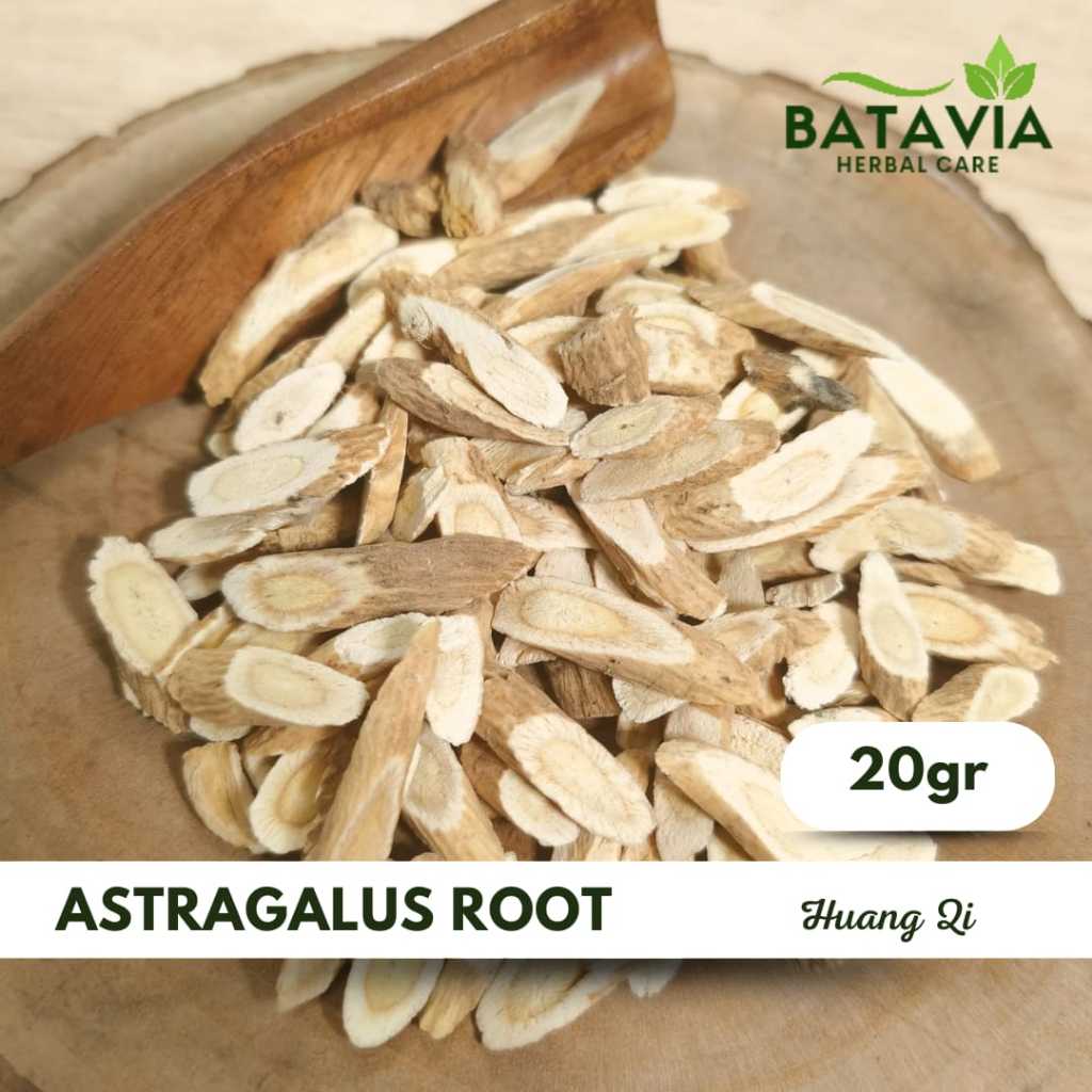 

Astragalus Root Tea Huang Qi Premium Tea Herbs Time 20gr