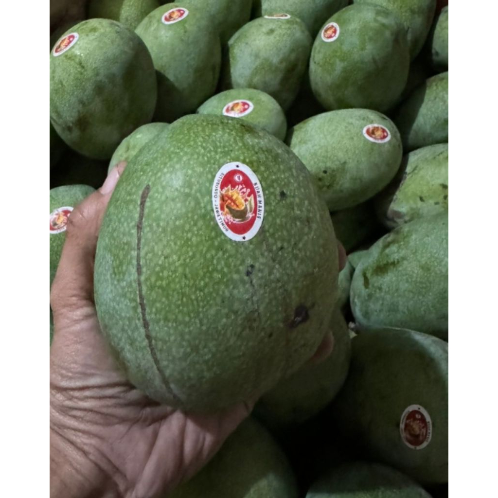 

mangga mana lagi netto1000 gr