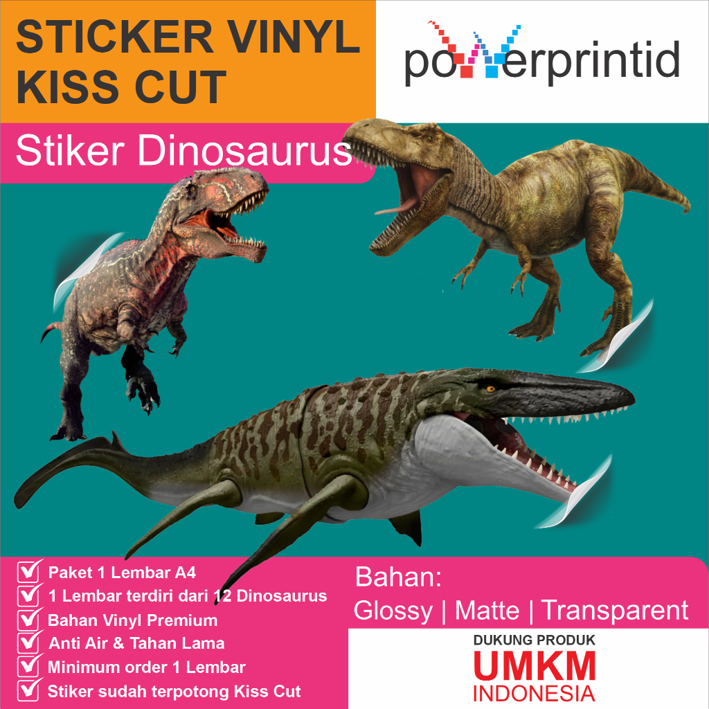 

Stiker Dinosaurus A4 Isi 12 Gambar – Realistis & Edukatif untuk Anak | Sticker Dino Anak