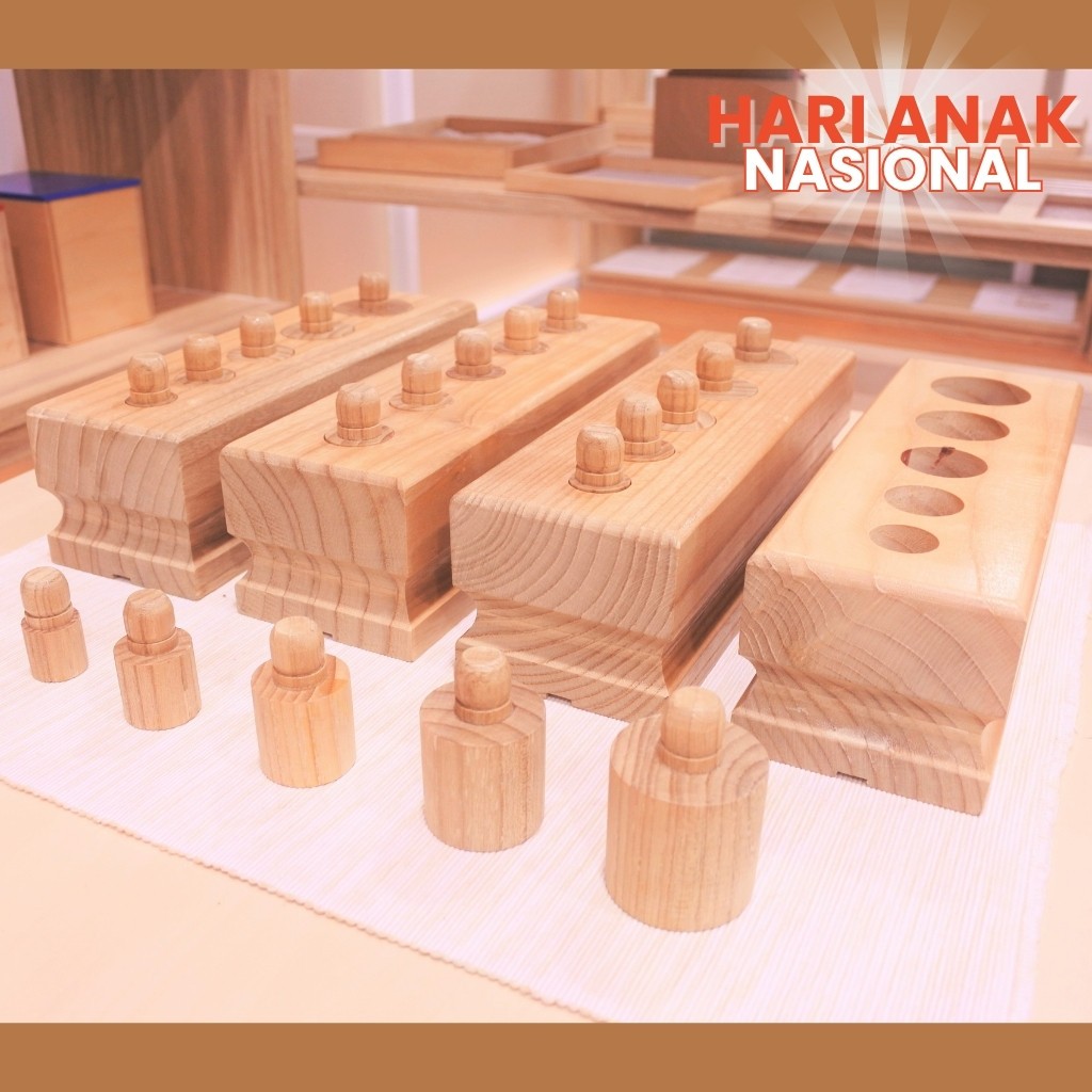 Mini Knobbed Cylinder Montessori Material