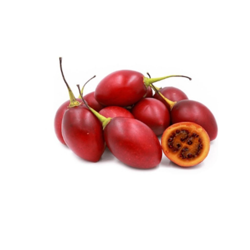 

Terong Belanda ( 15 buah )