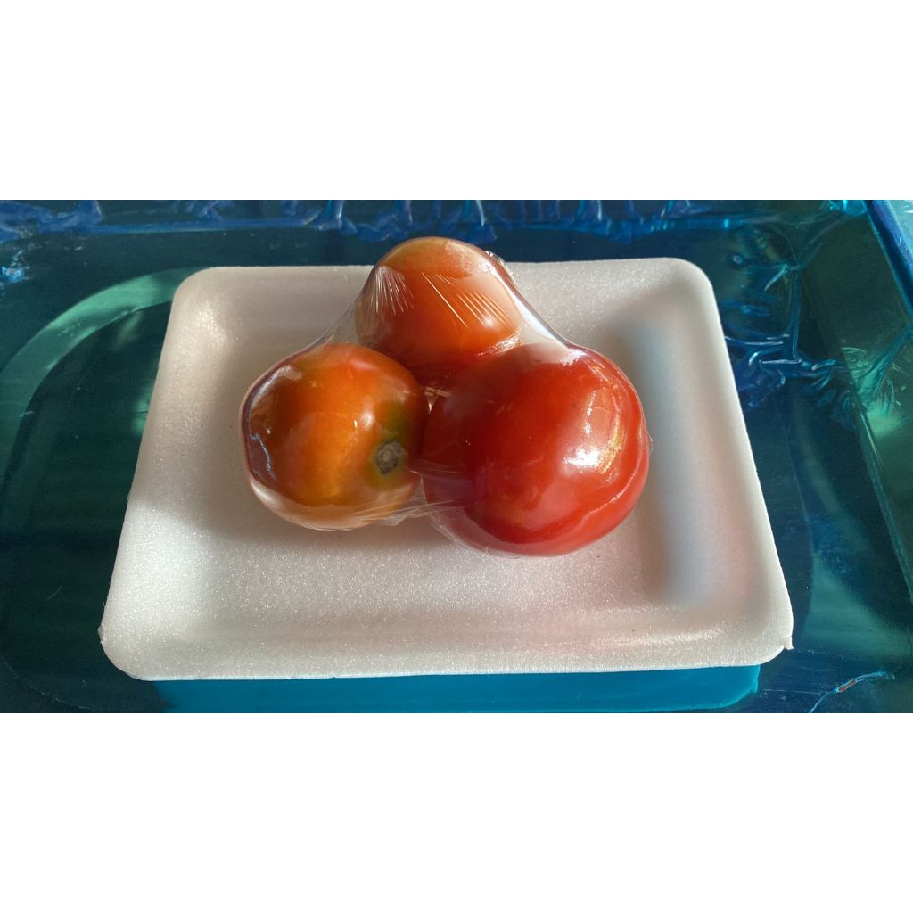 

Tomat, tomat sayur, tomat buah, tomat packing fresh kualitas terbaik