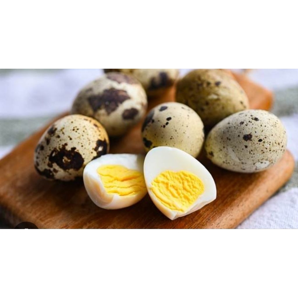 

telur puyuh mateng 20 butir