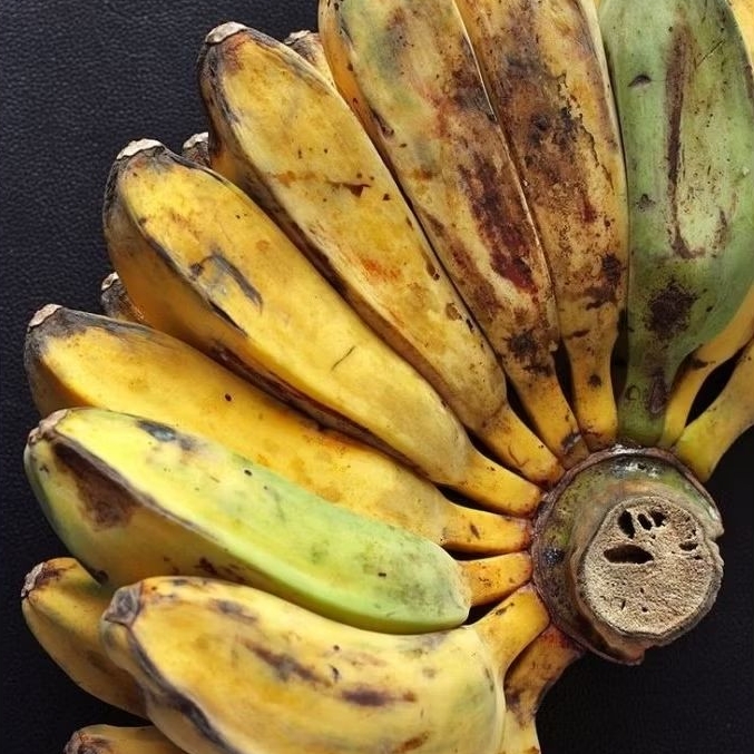 

1sisir pisang kepok surabaya