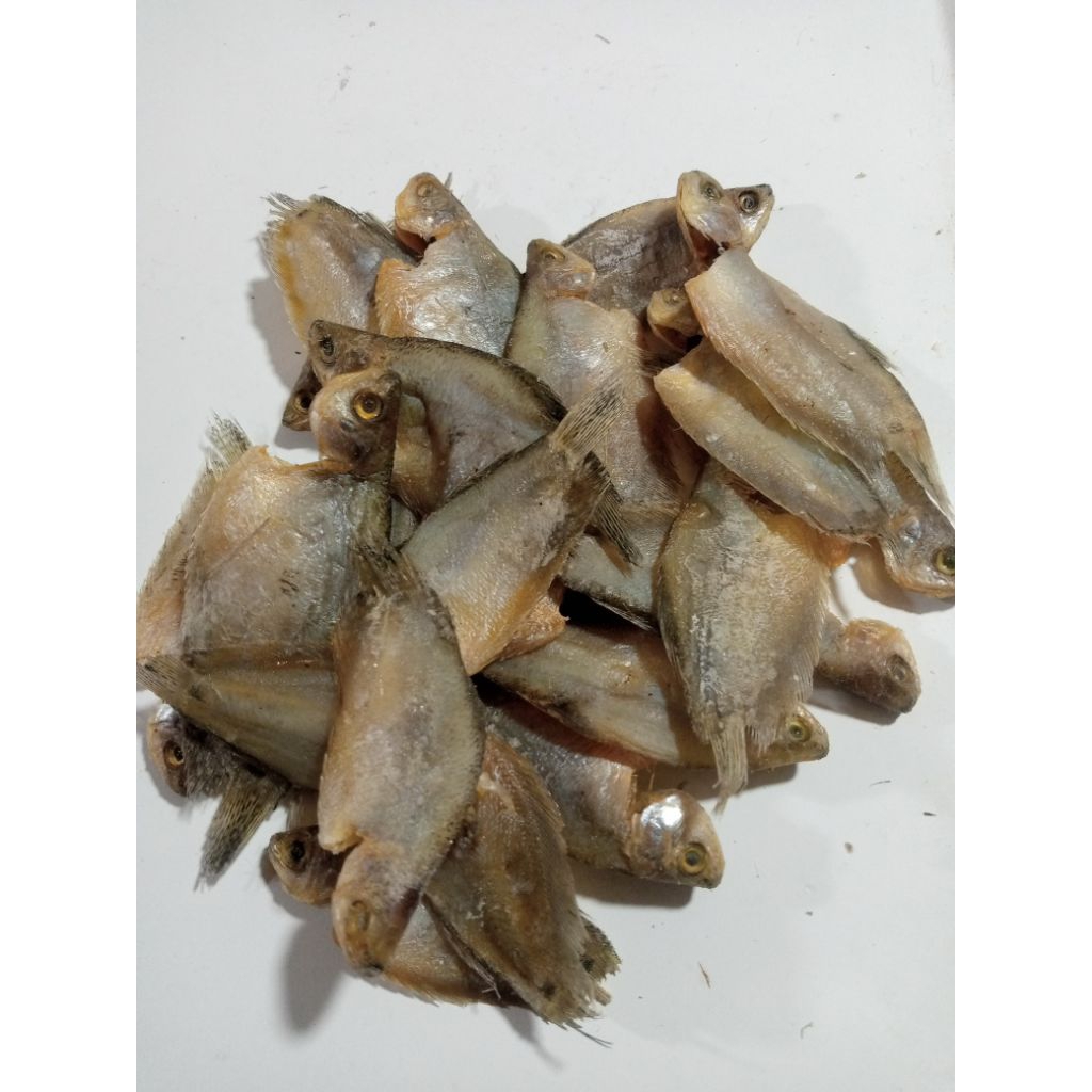 

Ikan Asin Sepat Kecil ( mentah ) siap di masak. 250gr, 500gr dan 1kg.