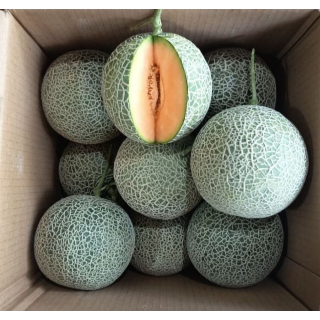 

buah melon fresh netto @ -/+800gr