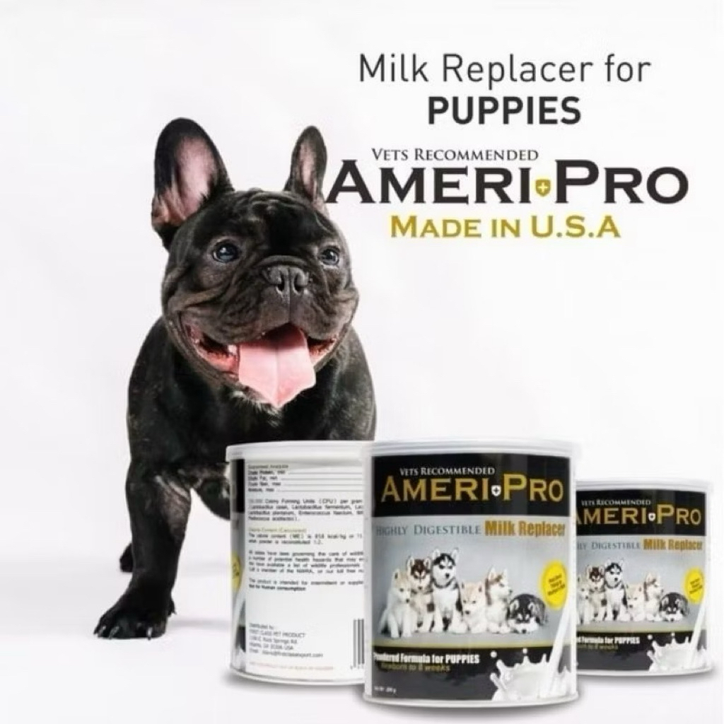Susu ameri pro / susu anjing ameri pro - susu anjing ameri-pro