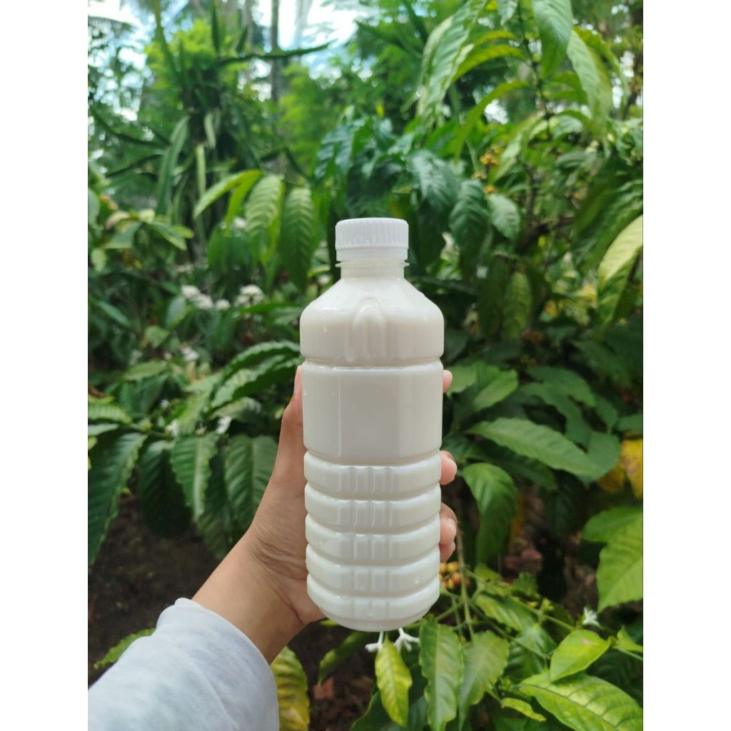 

Susu segar K-MILK minuman bergizi penting bagi kesehatan 500ml original