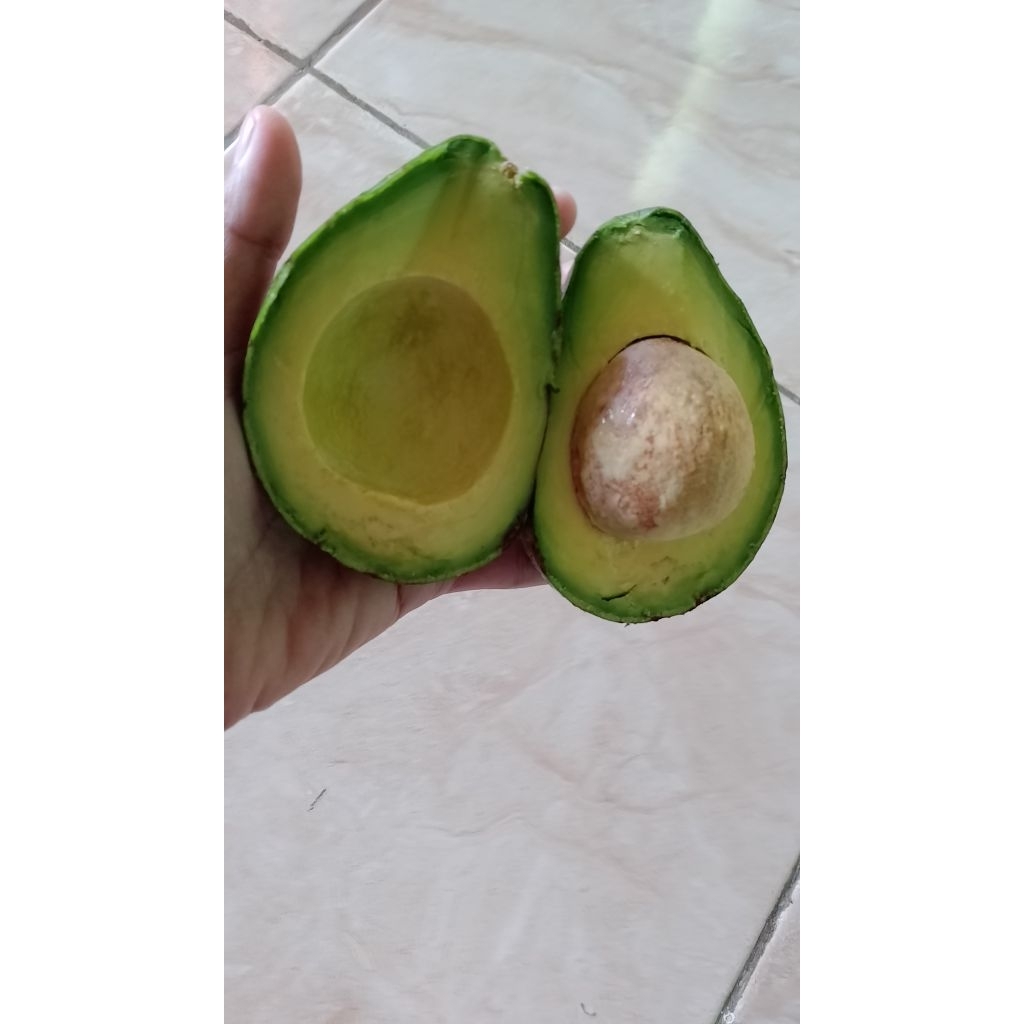 

Alpukat Mentega Lokal isi 23456