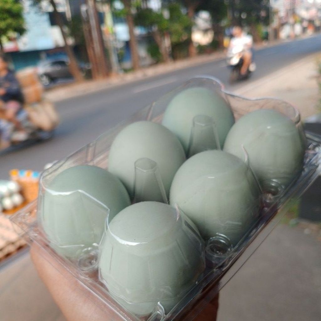 

TELOR asin matang MIKA isi 6