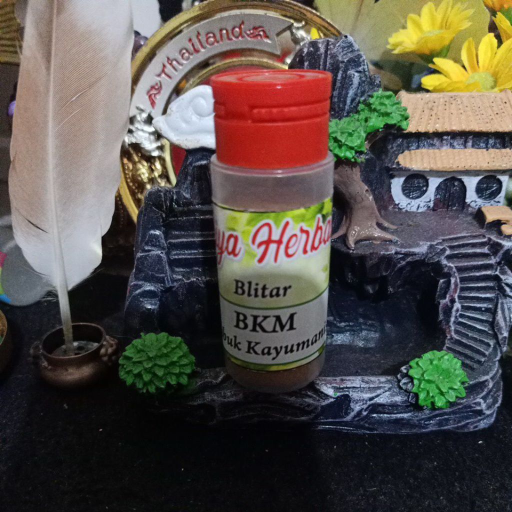 

BKM (Bubuk kayumanis)