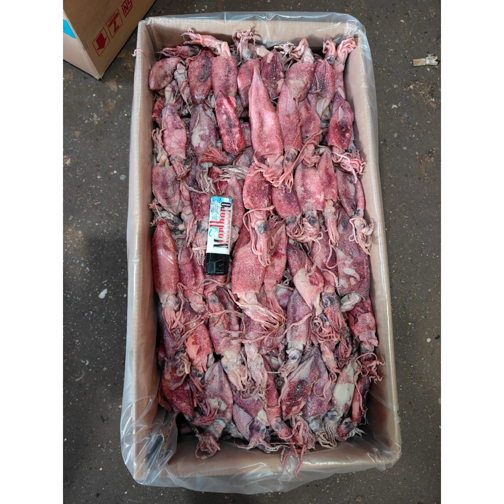 

CUMI KERING CUMI ASIN IKAN ASIN CUMI CUMI