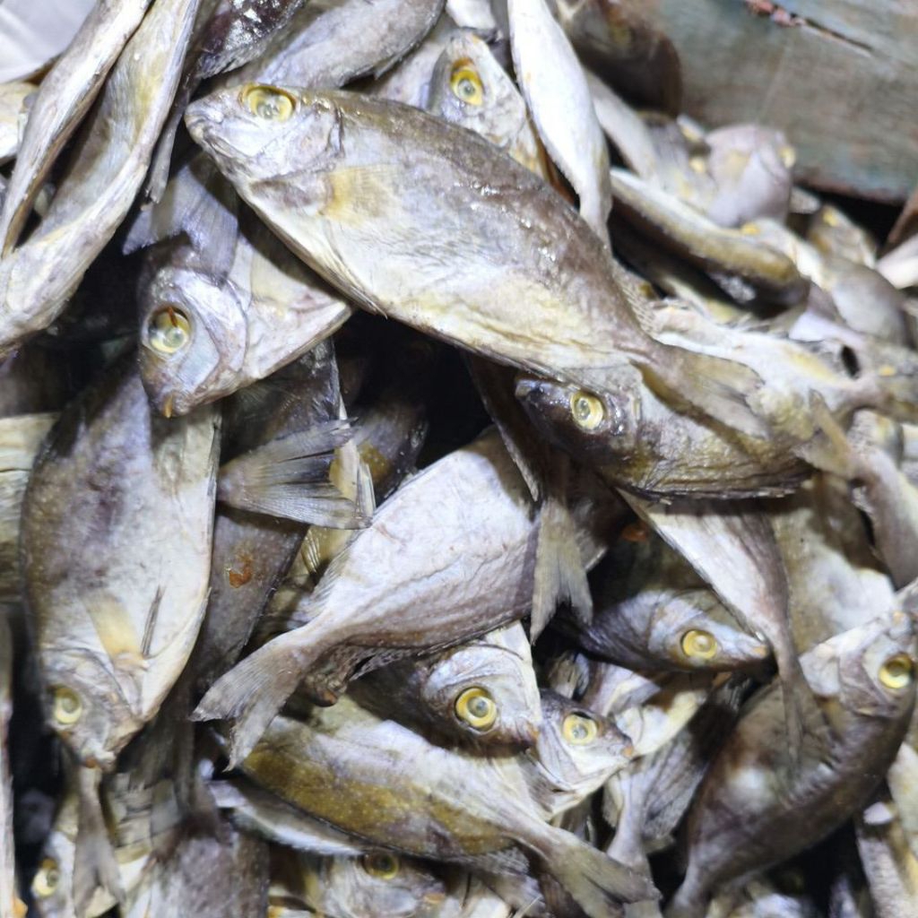 

ikan asin baronang bawis bontang 500gram