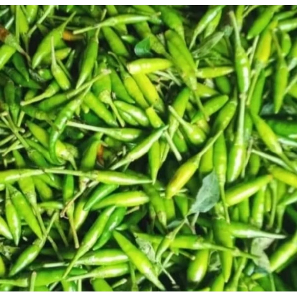 

Cabe Rawit Hijau 250 Gram