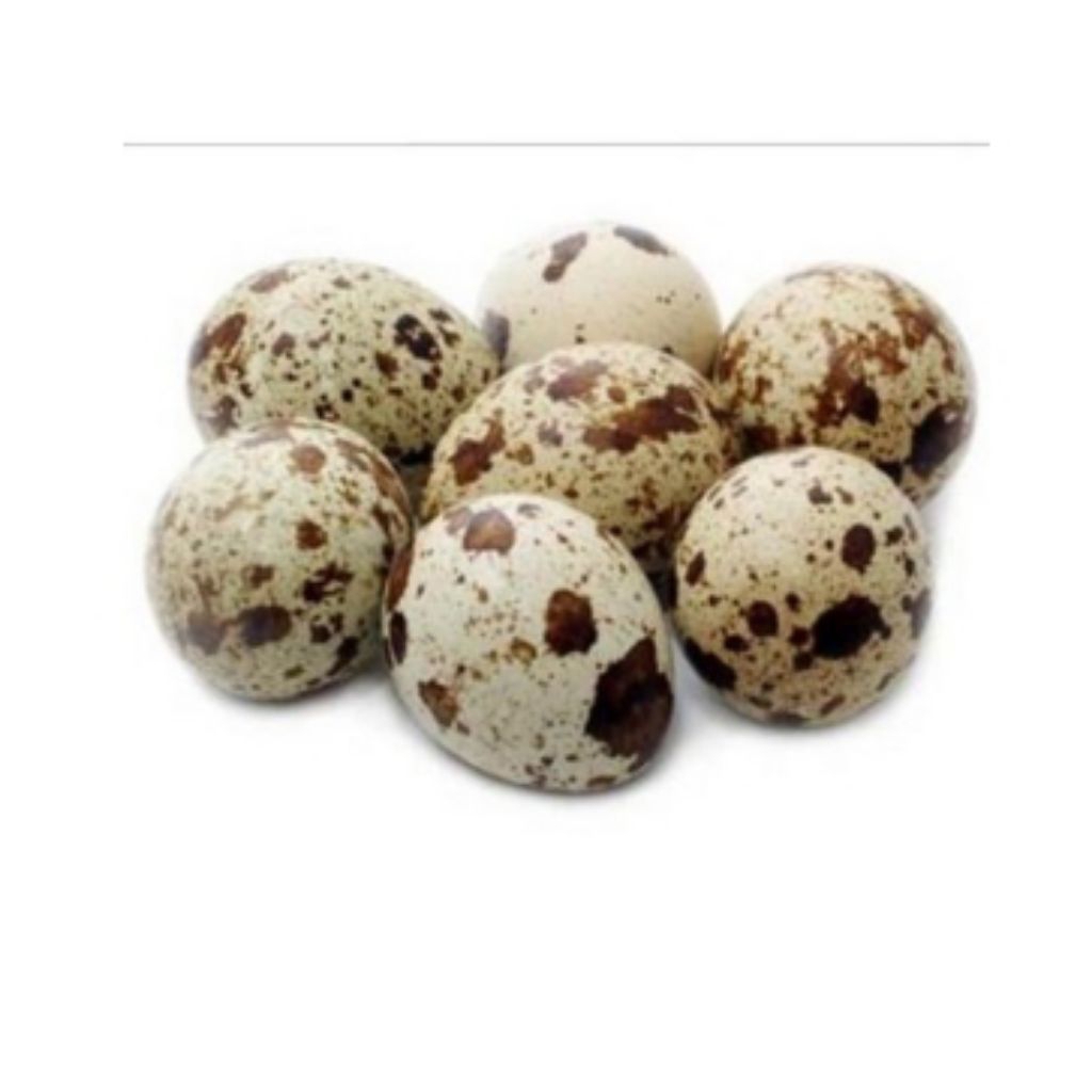 

telur puyuh 10 butir/ 20 butir/ 30 butir / 100 butir