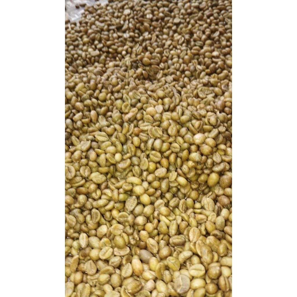 

Green bean Kopi excelsa atau nangka ( 1kg)