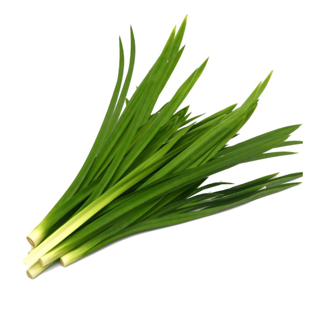 

Daun pandan wangi 1 ikat