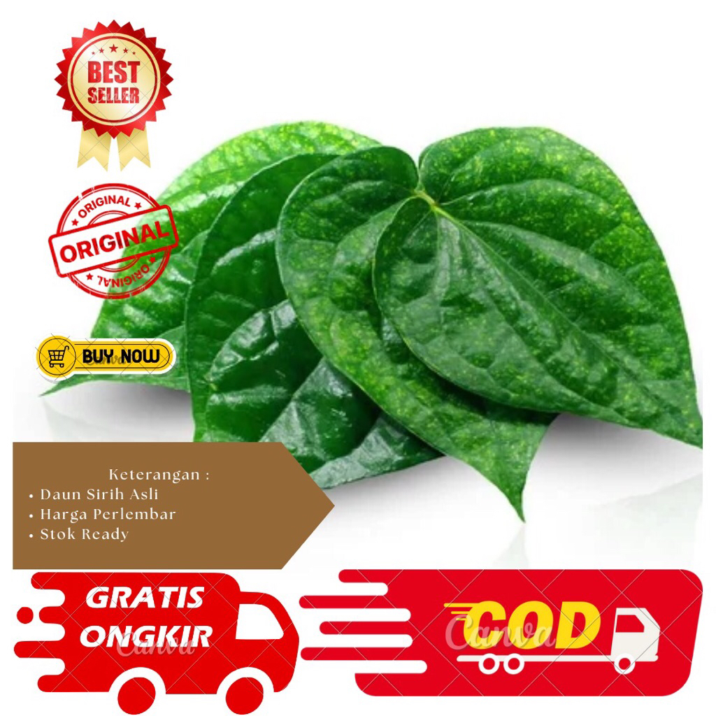 

Daun Sirih Segar Per 1 Lembar