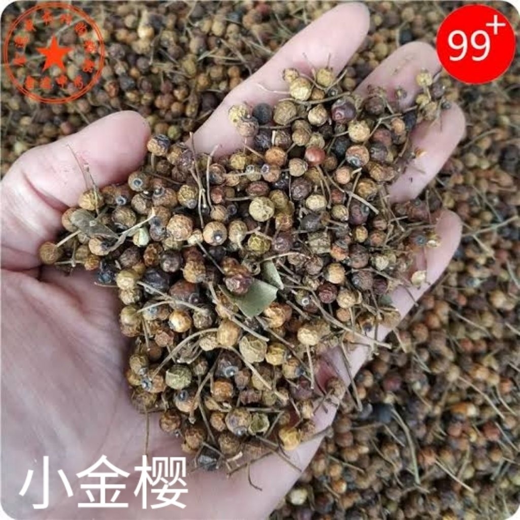 

100gr Herbal Xiao Jin Ying Rosa Taiwanensis / Henrys Rose / Taiwan Rose