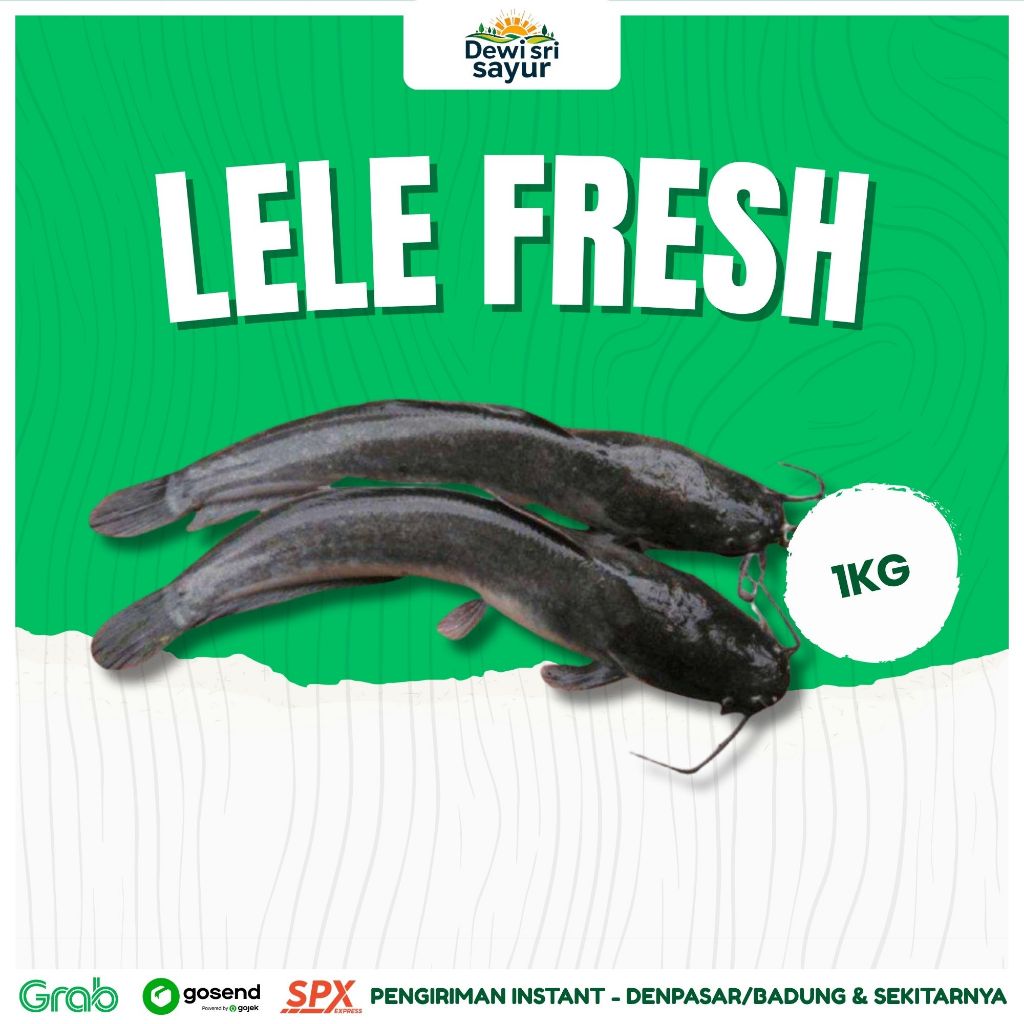 

Ikan Lele Fresh 1kg – Dewi Sri Sayur