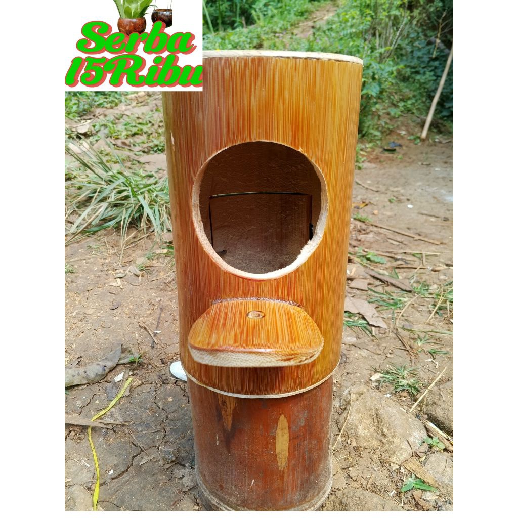 Glodok bambu tempat sarang burung murai, pintu belakang