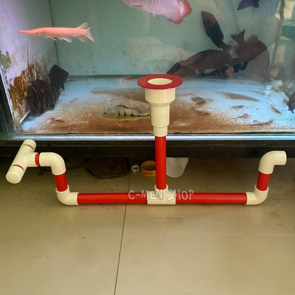 Mushroom set aquarium TY