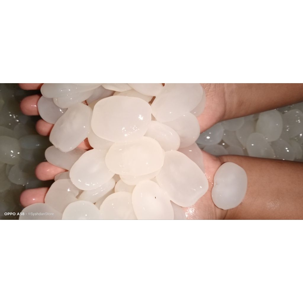 

Kolang Kaling super kenyal , murah & berkualitas 1kg