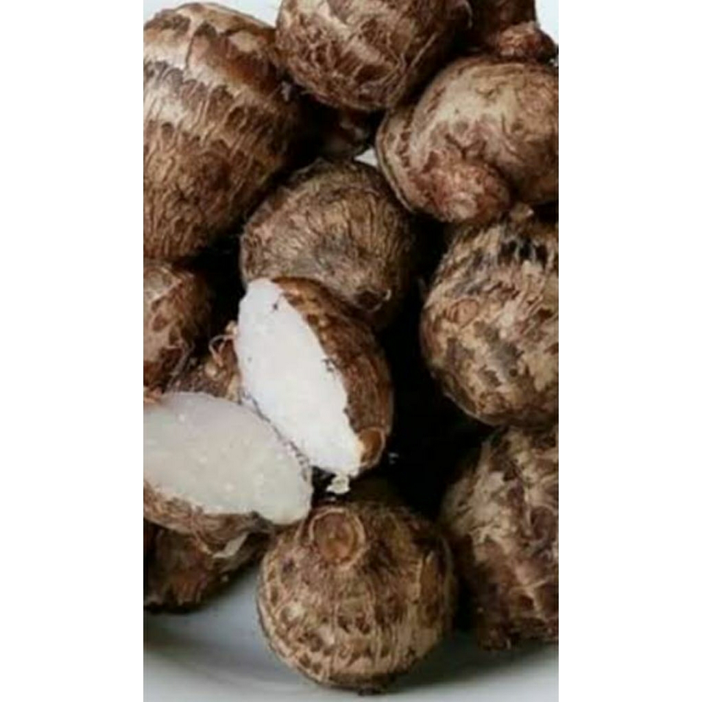 

umbi mbote 1kg asli dari petani