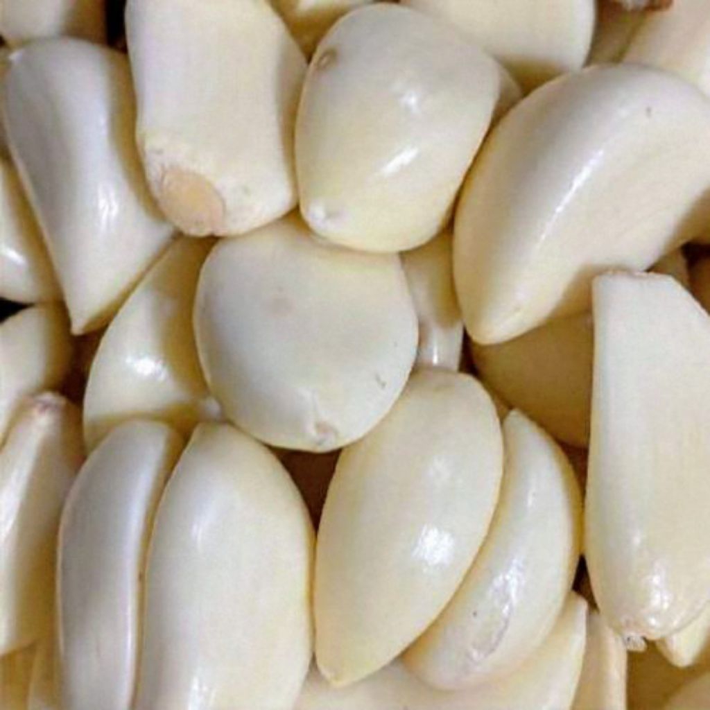 

bawang putih bawang kupas bersih terbaik