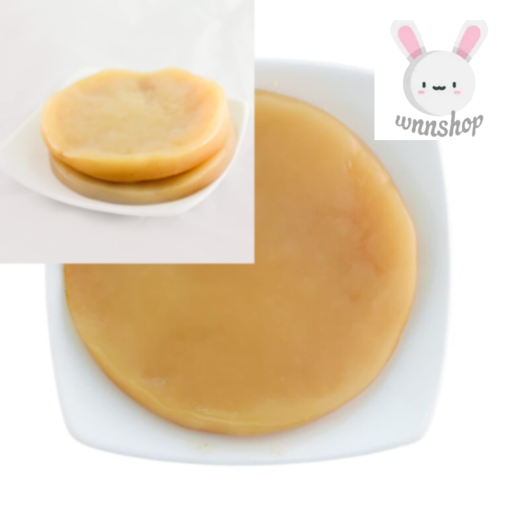 Scoby Super Jumbo Starter Kombucha Premium Organik Organic Bibit Jamur Dipo - WNN Shop Original