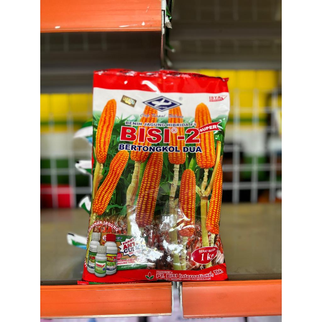 benih jagung BISI 2 1 kg biji jagung hibrida dari bisi kapal terbang bisi 2 bisi2