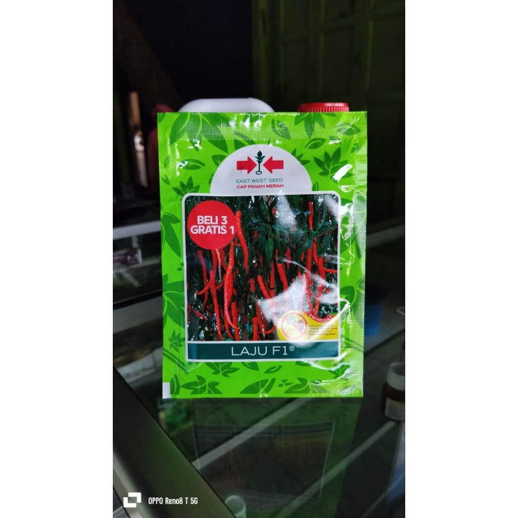 cabai keriting laju F1 benih cabai unggul anti virus panah merah