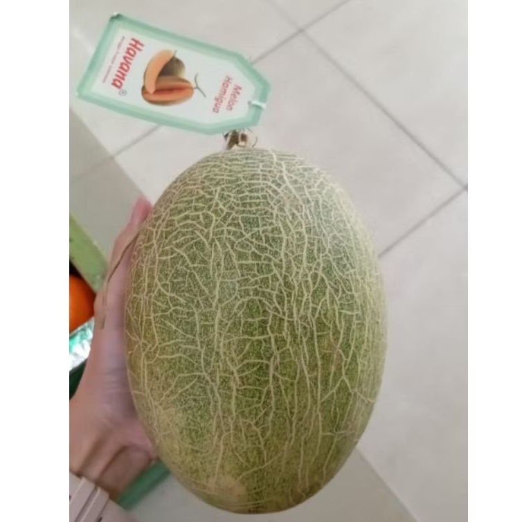 

Buah melon orange hamikua super fresh utuh melon manis premium 1 pcs