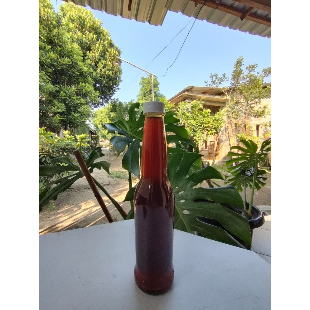 madu tawon liar asli